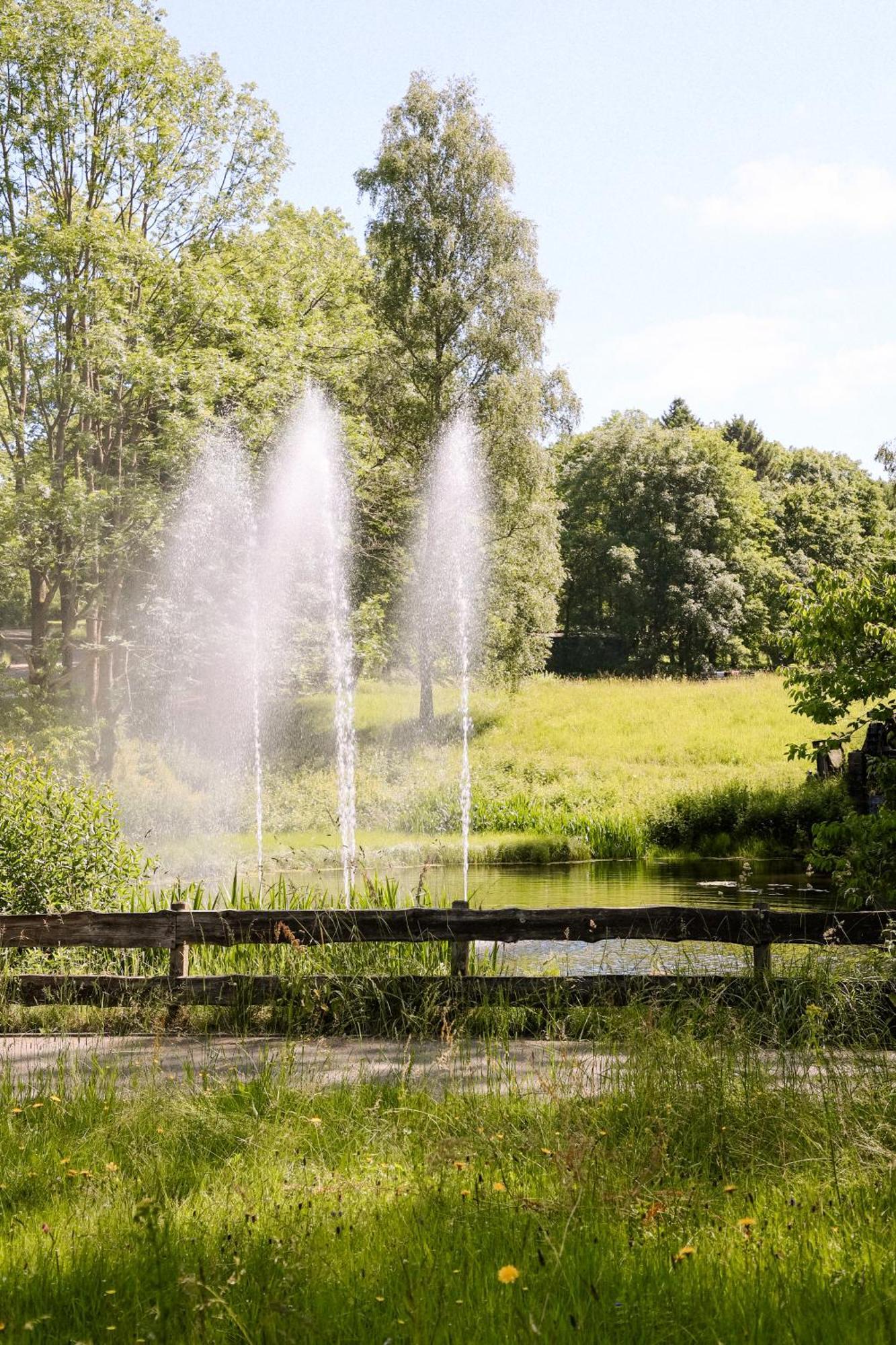 Apartment 540, Oberharz, Mit Schwimmbad Und Sauna Braunlage Exteriér fotografie